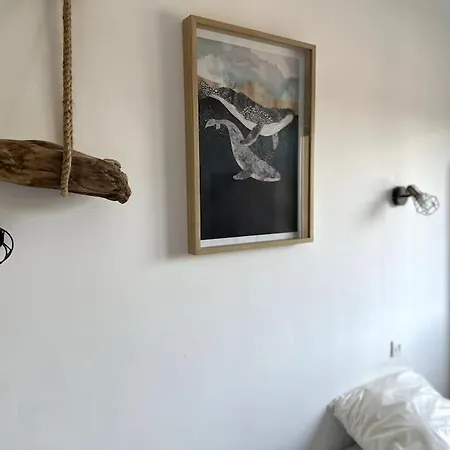 Cosy Calao - Parking Ferme Gratuit Perpignan