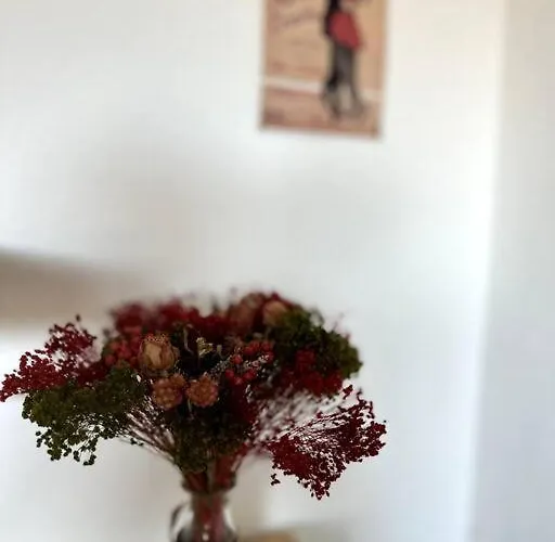 Cosy Calao - Parking Ferme Gratuit Apartment *