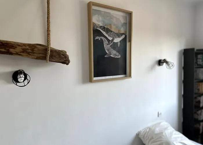 Cosy Calao - Parking Ferme Gratuit פרפיניין